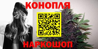 гашик Пенза