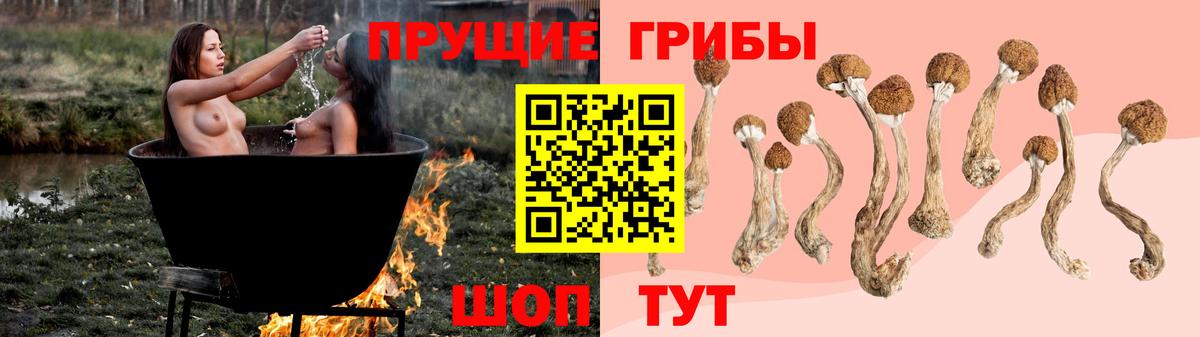цена   Псилоцибиновые грибы Magic Shrooms  Вход с VPN  Рубцовск 